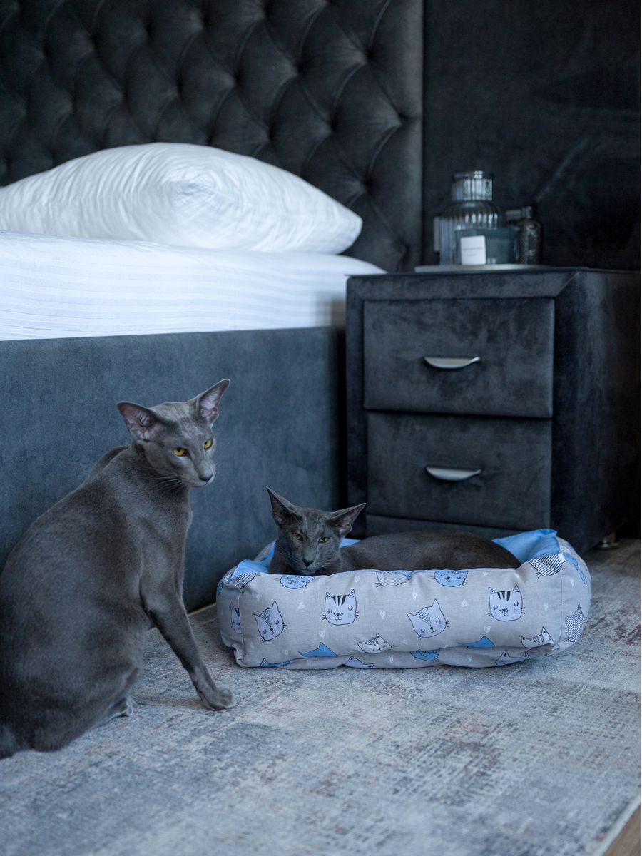 снимок Лежак для кошек и собак "кошки" от магазина BIO-TEXTILES ОПТ