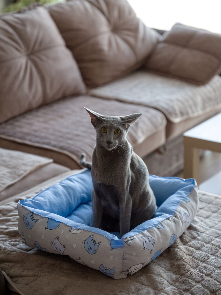 снимок Лежак для кошек и собак "кошки" от магазина BIO-TEXTILES ОПТ